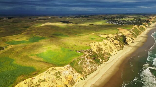 Aerial view of the stunning contrast of golden cliffs, sandy beach, and turquoise waves meeting the lush green hills, Dargaville, Northland Region, New Zealand.