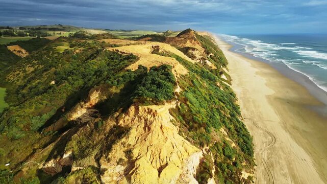 Aerial view of the stark contrast between the golden sandy beach, the lush green vegetation, and the blue ocean, Dargaville, Northland Region, New Zealand.