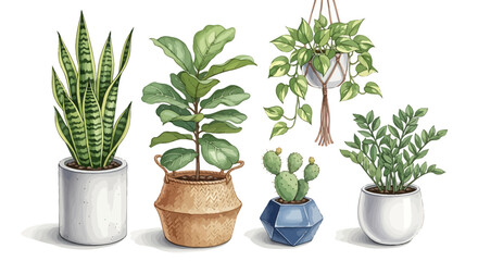 Obraz premium An array of vibrant potted plants, offering a touch of nature and tranquility.