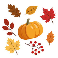 Vector set featuring a collection of autumn elements, colorful fall leaves and pumpkin. For seasonal design projects, Thanksgiving graphics, invitations, packaging, and autumn-themed decorations. 