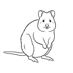 Clean Quokka Line Art – Quokka Vector Illustration Minimal Drawing with Soft Curves – Quokka Drawing – Line Art Drawing of Quokka – Quokka Icon

