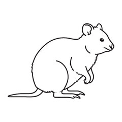 Iconic Quokka Line Art – Quokka Vector Outline Drawing with Rounded Facial Shape – Quokka Drawing – Vector of Quokka – Quokka Outline


