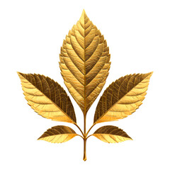 Gold Leaf with Textured Veins on Transparent Background, 3D Realism Design Element
