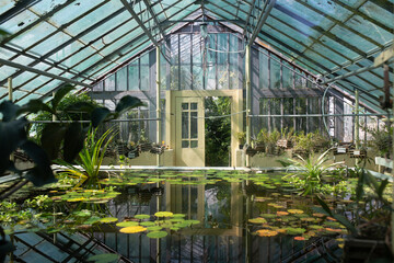 Fototapeta premium Old botanical garden with greenhouse and a pool with waterlilies and exotic plants. 