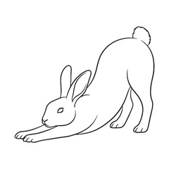 Detailed Rabbit Line Art – Rabbit Vector Outline Drawing with Fine Facial Details – Rabbit Drawing – Vector of Rabbit – Rabbit Outline

