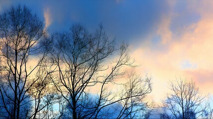 Obraz premium Cloudy Sky in Blue and Orange with Tree Silhouettes at Sunset – Indigo and Amber Clouds Blending, Dark Tree Outlines Stretching Against the Glowing Evening Horizon