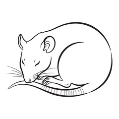 Clean Rat Line Art – Rat Vector Outline Drawing with Sharp Minimal Style – Rat Drawing – Vector of Rat – Rat Outline

