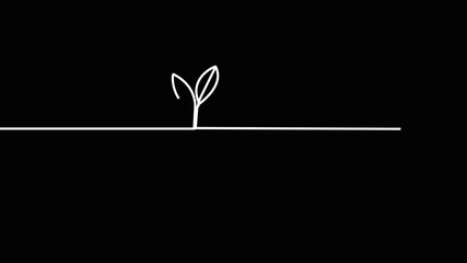 Continuous one line drawing plant germination sequence on white background. Self drawing animation. Hand drawn steps of Growing from seeds Trees