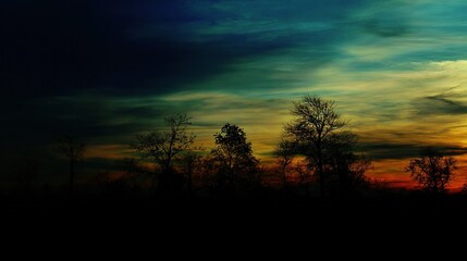 Fototapeta premium Cloudy Sky in Blue and Orange with Tree Silhouettes at Sunset – Indigo and Amber Clouds Blending, Dark Tree Outlines Stretching Against the Glowing Evening Horizon