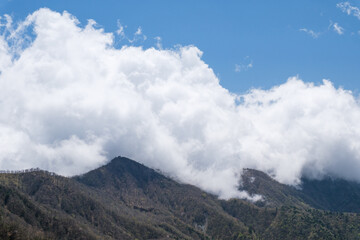 蛭ヶ岳の登山道