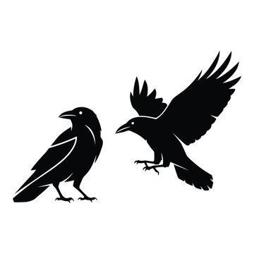 Vector art of two crows silhouette isolated on white background