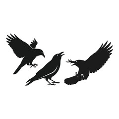 Obraz premium Vector art of three crows flying and perched isolated on white background