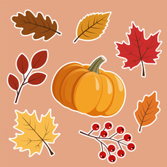 Vector set sticker featuring of autumn elements, colorful fall leaves and pumpkin. For seasonal design projects, Thanksgiving graphics, invitations, packaging, and autumn-themed decorations. 