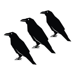 Vector art of three crows isolated on white background