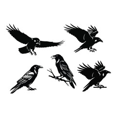 Vector art of five crow silhouettes isolated on white background
