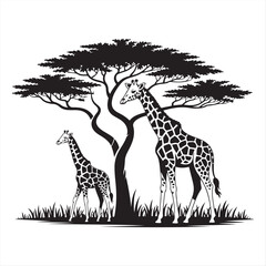 Giraffe Outline Design, Giraffa Clipart, An Acacia Arch Giraffe Illustration black and white