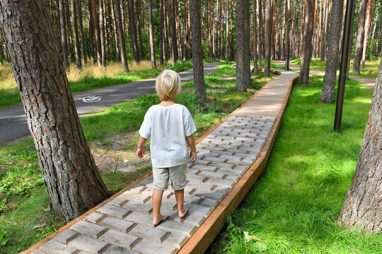 Barefoot boy walking on a sensory trail through a  pine forest