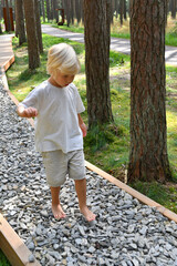 Barefoot boy walking on a sensory trail through a  pine forest