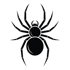 Vector art of black spider isolated on white background