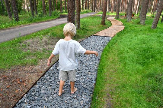 Barefoot boy walking on a sensory trail through a pine forest in Lithuania
