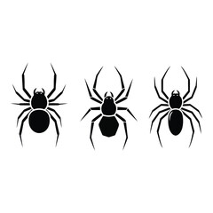 Vector art of three spider silhouettes isolated on white background