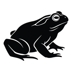 Vector art of frog isolated on white background