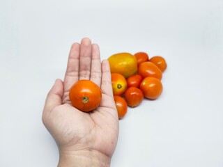 Close-up of a hand holding a fresh tomato with a pile of vibrant cherry tomatoes on a clean white background. Perfect for food and healthy eating concepts.
