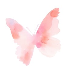 Delicate watercolor butterfly illustration