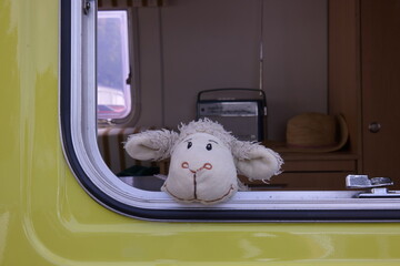 ein Schäfchen geht auf Reisen im Camper