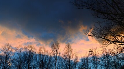 Fototapeta premium Cloudy Sky in Blue and Orange with Tree Silhouettes at Sunset – Indigo and Amber Clouds Blending, Dark Tree Outlines Stretching Against the Glowing Evening Horizon