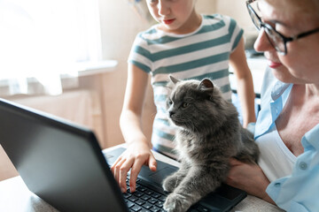 Family and cat browsing on laptop. Working mother, child at home. People and animal watching video....