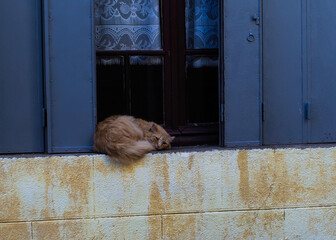 Ville de Puy l'évêque, par une journée ensoleillée
