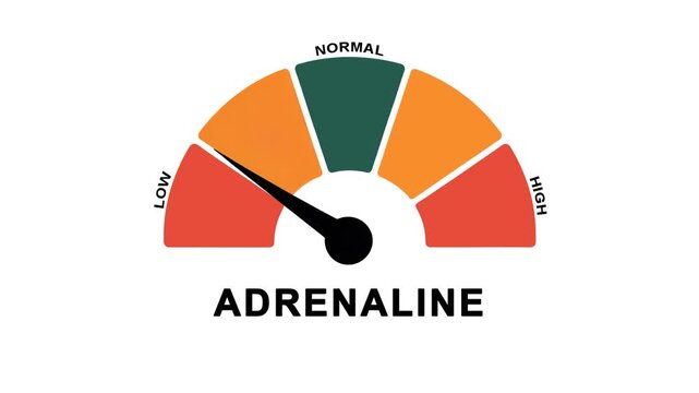 Animated adrenaline level meter decreasing from normal to low level, for concepts related to low adrenaline, hormone imbalance and stress response