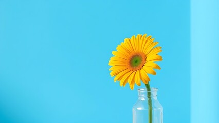 Single yellow gerbera in a simple glass vase against a bright blue backdrop with morning light.