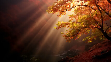 Dramatic light rays illuminate the colorful autumn leaves of a tranquil forest with a small stream below