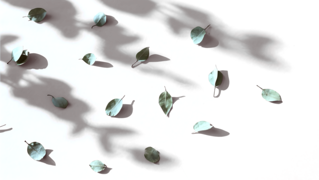 Transparent PNG of Abstract Teal and Black Leaves, Artistic Design Element with Falling Leaves on a Textured Cyan and Black Background, Perfect for Overlay and Digital Art Projects - Powered by Adobe