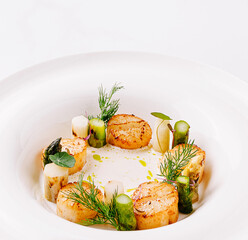 Deliciously prepared scallops with fresh herbs and vegetables on a white plate