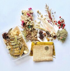Assorted dried flower craft kit on white background