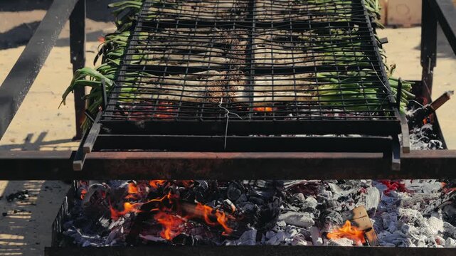 Traditional Catalan green onion calcot, The Calcotada de Valls Festival, annual event that celebrates this tradition, usually at the end of January. Close-up of grilled green onions. High quality 4k