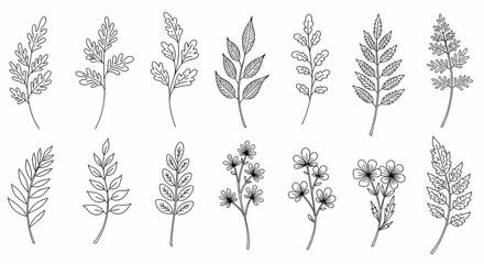Elegant Botanical Line Art: 12 Exquisite Floral Elements for Design Projects