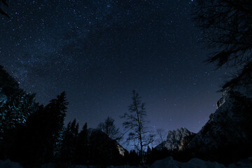 panoramica del cielo notturno, sereno e stellato e di colore blu, visto da un ambiente naturale di montagna, nelle alpi del nord Italia, in inverno
