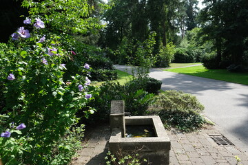 Waldfriedhof Sennefriedhof in der Natur in Bielefeld