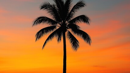 Obraz premium Serene tropical sunset silhouette