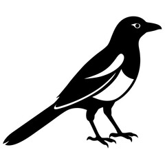 Black silhouette of a magpie bird in a simple icon style