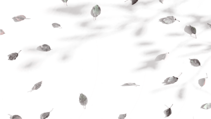 Transparent Red and Green Abstract Shapes PNG, Dynamic Overlay of Glowing Red and Green Forms on a Black Transparent Background, Ideal for Graphic Design and Artistic Projects