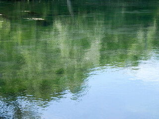 湧き水で出来た透明度の高い沼