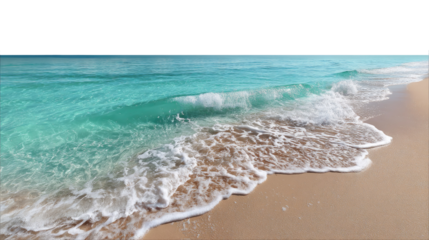 Seashore Serenity: Waves gently roll onto a pristine beach, showcasing the boundless beauty of the ocean, inviting a sense of calm and wonder.