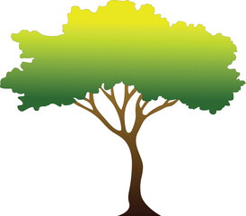 Babul tree, Gradient tree, Tree