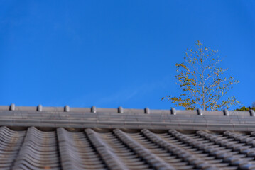Traditional Japanese tiled roof with a blue sky and tree in the background