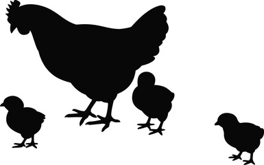 Silhouette of hen with chicks, black chicken family illustration, farm bird shadow art, poultry mother care design, rural animal graphic, livestock farming concept vector